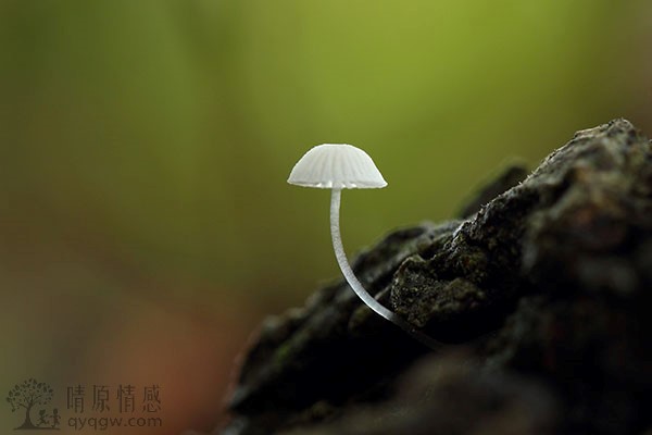 挽回爱情：四种方法让爱重燃